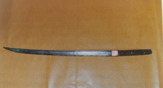 Espada encontrada pelo pioneiro Angelo Calírio (Foto: Arquivo Pessoal)